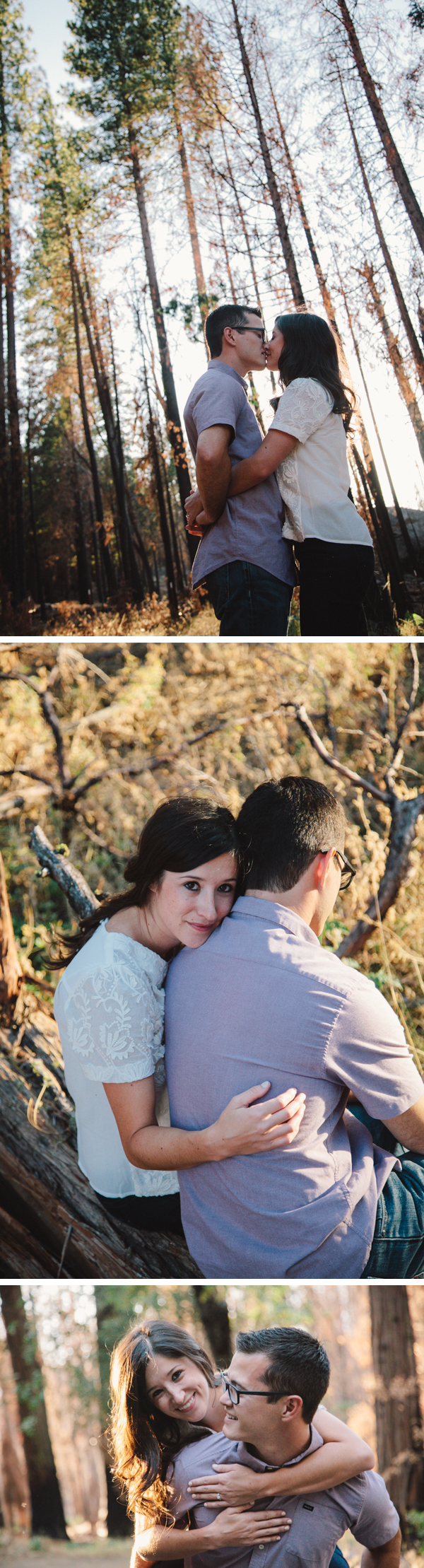 Engagement photography in the woods • Yosemite, California