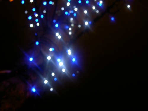 101 lights