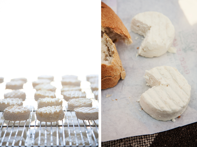 Fresh Goat Cheese