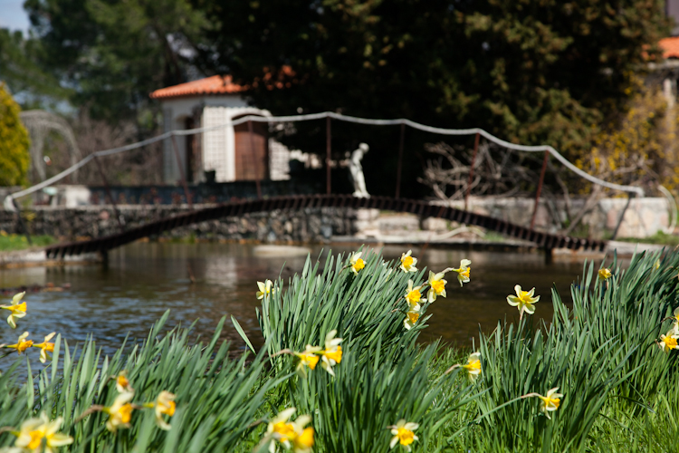 Beautiful bridge and lake at Coste Longuière