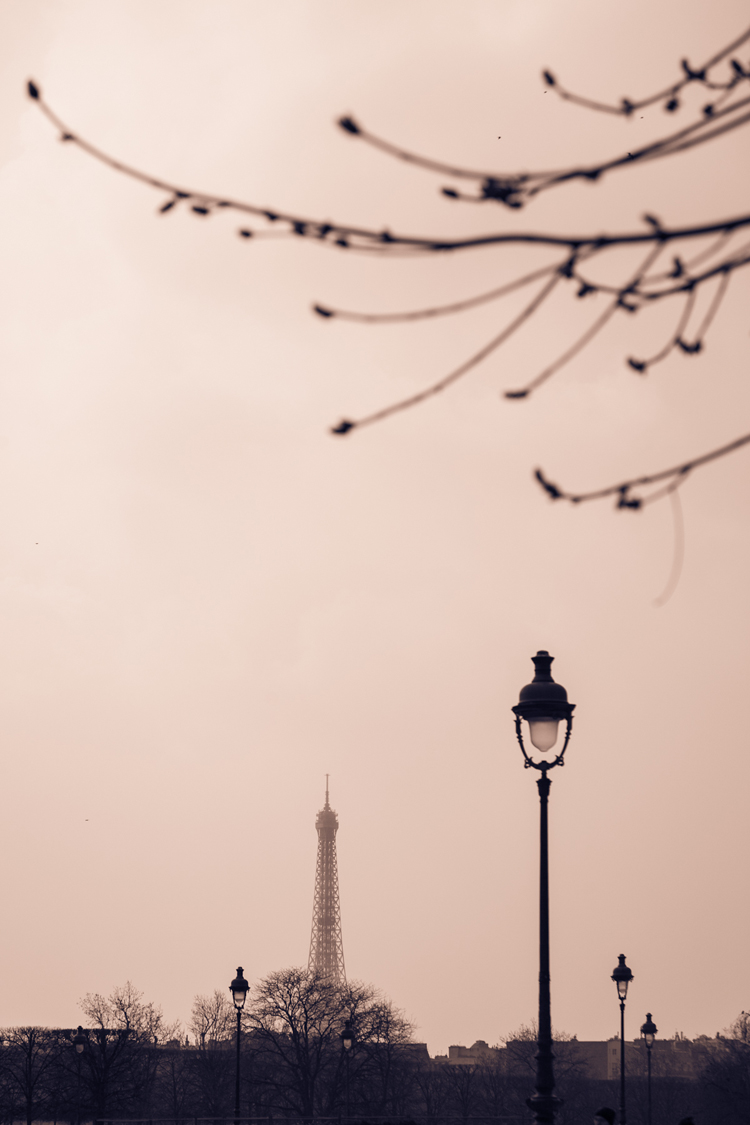 La vie en rose • Tour Eiffel