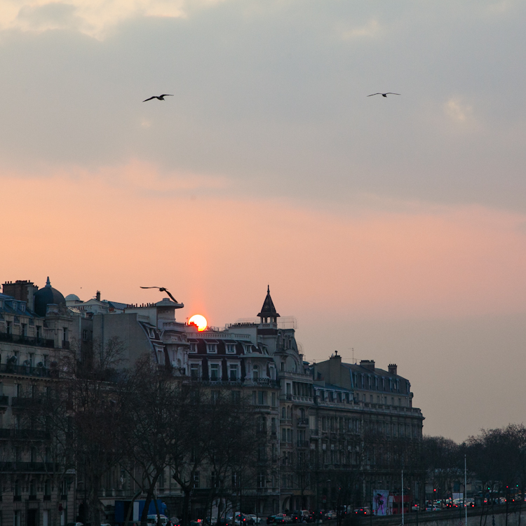 Parisian sunset