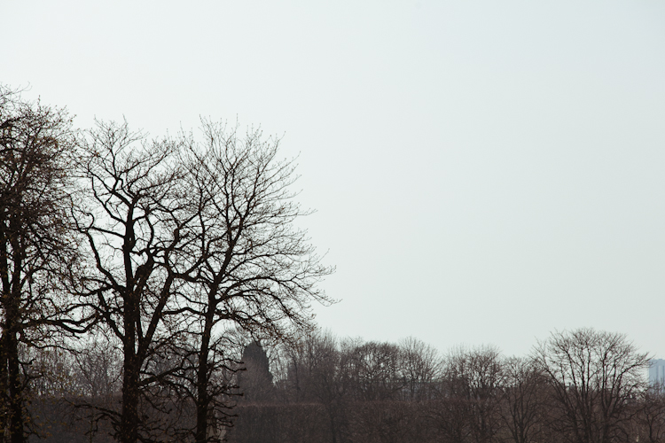 Wintery trees at Jardin du Luxembourg