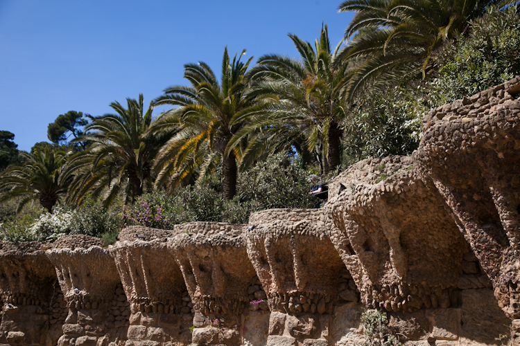Palms and walls at Park Güell in Barcelona