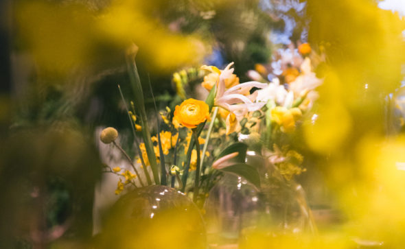 Yellow ranunculus flower – bell jar floral arrangements Hong Kong