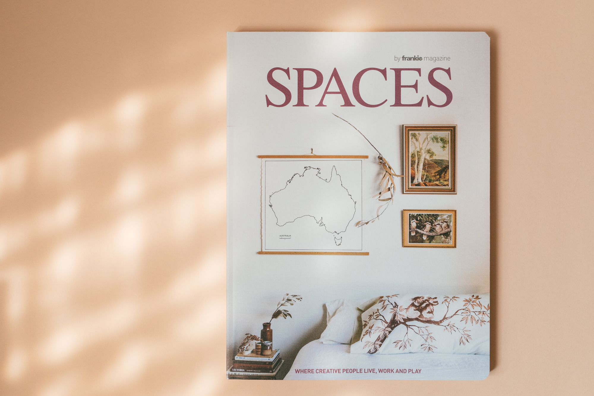 Spaces Magazine Cover by frankie press