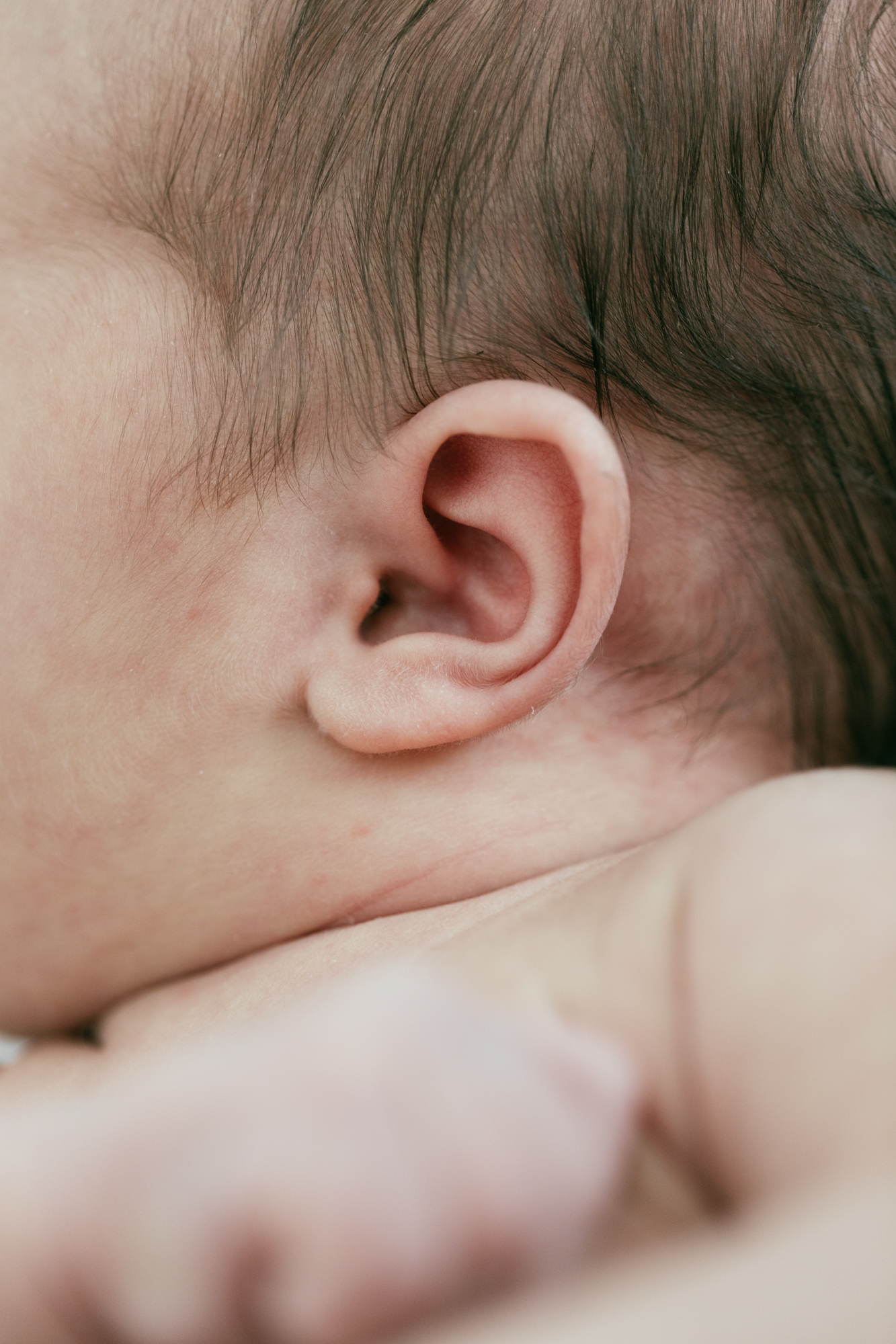 Newborn ear detail | Fine art family photography